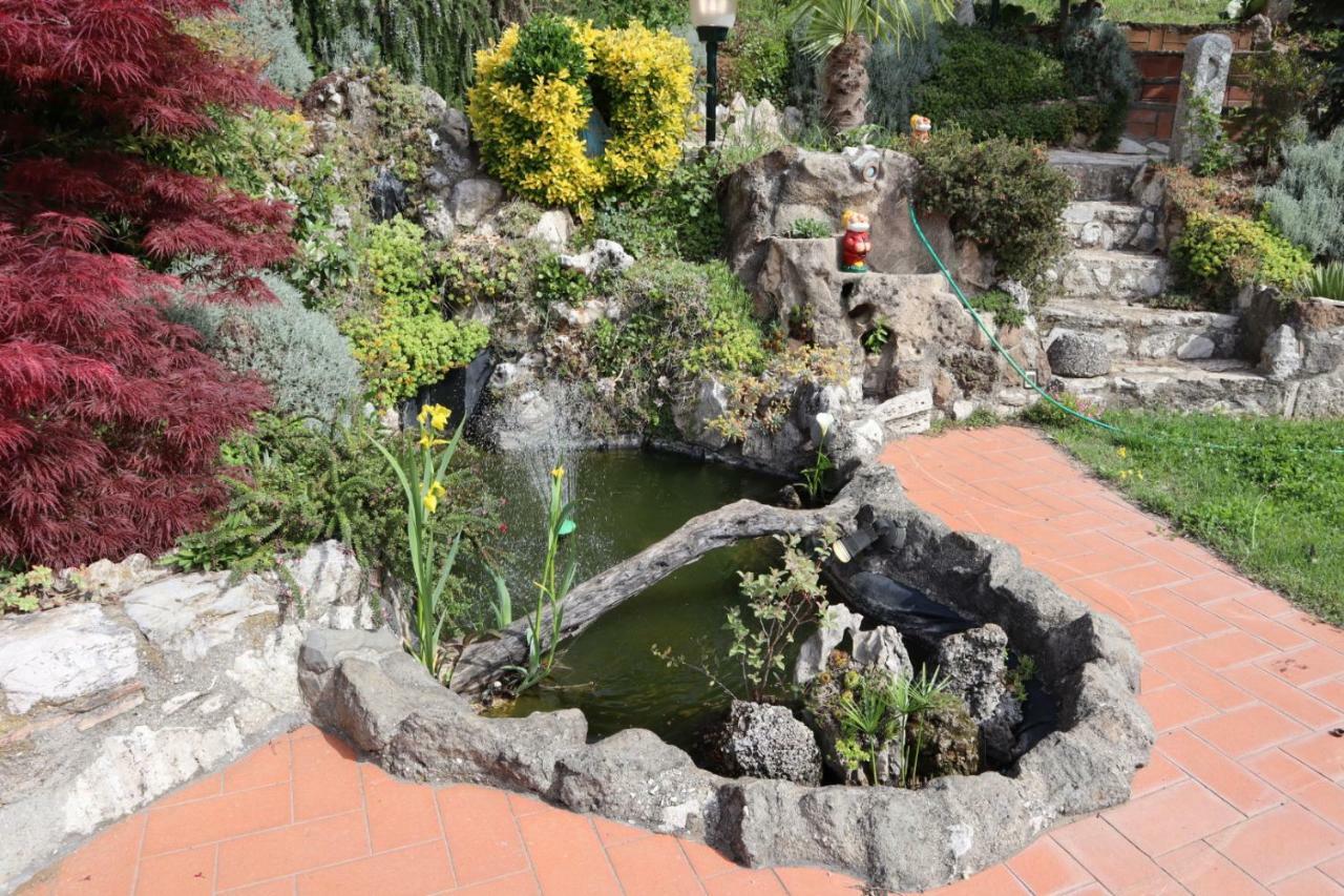 Bed and Breakfast Casal D'Upupa San Cesareo Exterior foto